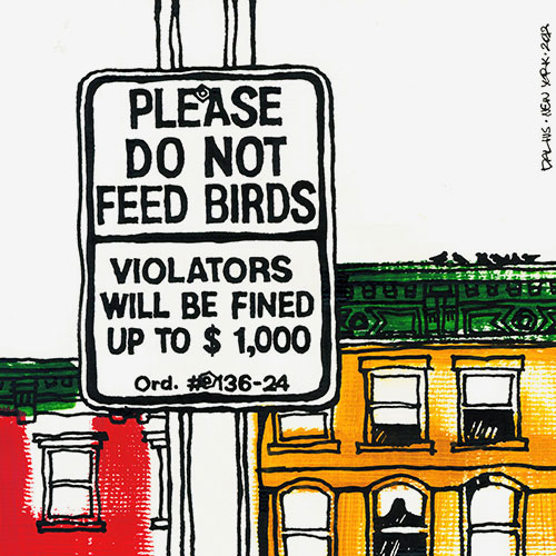 DO NOT FEED BIRDS